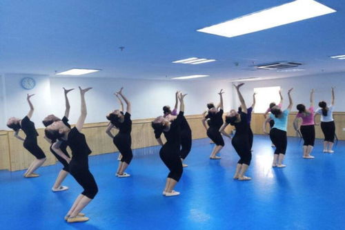 舞蹈培训学校加盟费解析 总投资19.1万元，助你轻松开启艺术教育之路